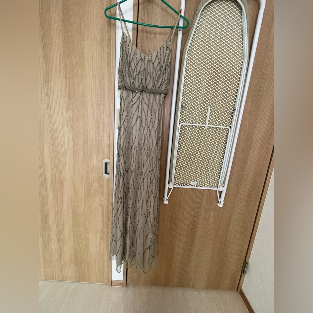 Adrianna Papell beaded dress